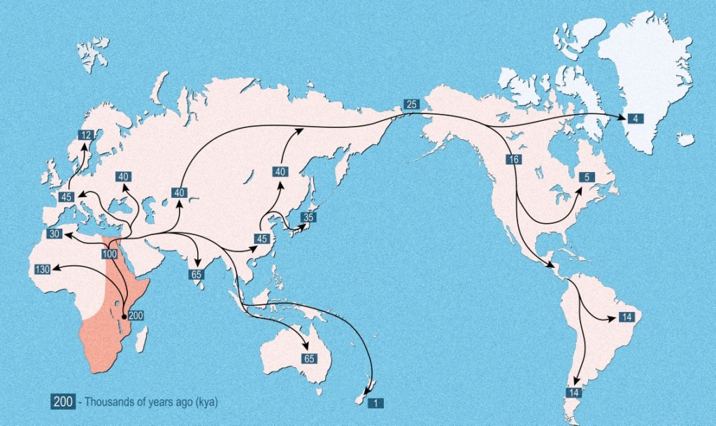 Deze foto toont vroege menselijke expansie vanuit Afrika over de hele wereld, migratiepaden afgebeeld met pijlen, wereldwijde expansie met bewegingsrichting en tijd van vestiging op de continenten. © Designua | Licentie van Dreamstime Stock Foto's