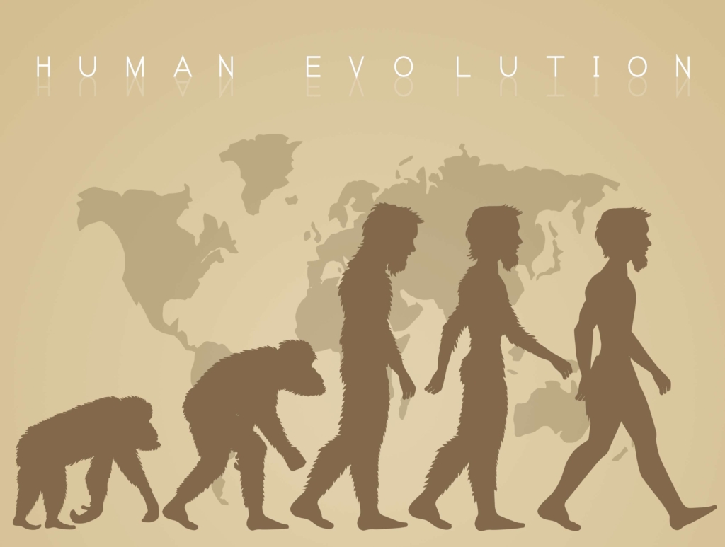 Illustratie van de menselijke evolutie. © Image Credit: Adrenalinapura | Gelicentieerd van DreamsTime.com (redactionele/commerciële stockfoto, ID:101912733)