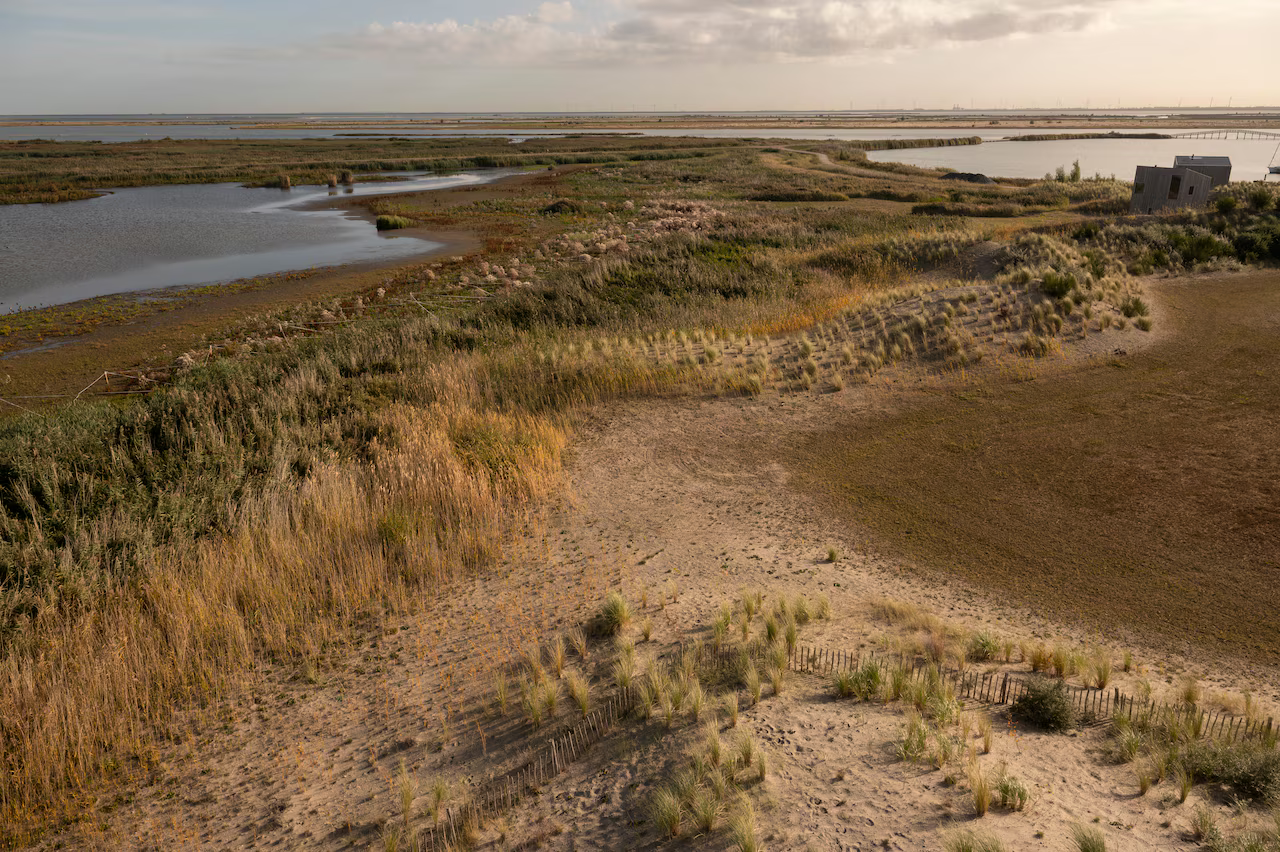De Marker Wadden, gemaakt van slib uit de bodem van het Markermeer, is een van de grootste natuurherstelprojecten van West-Europa. Bron Bram Petraeus