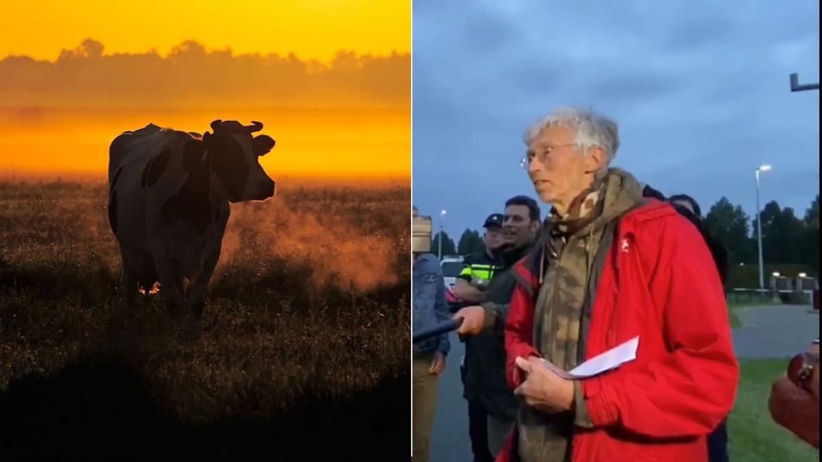 Stikstofactivist Vollenbroek zit 'gewoon' aan tafel om de provincie Utrecht te helpen boeren van hun land te verwijderen