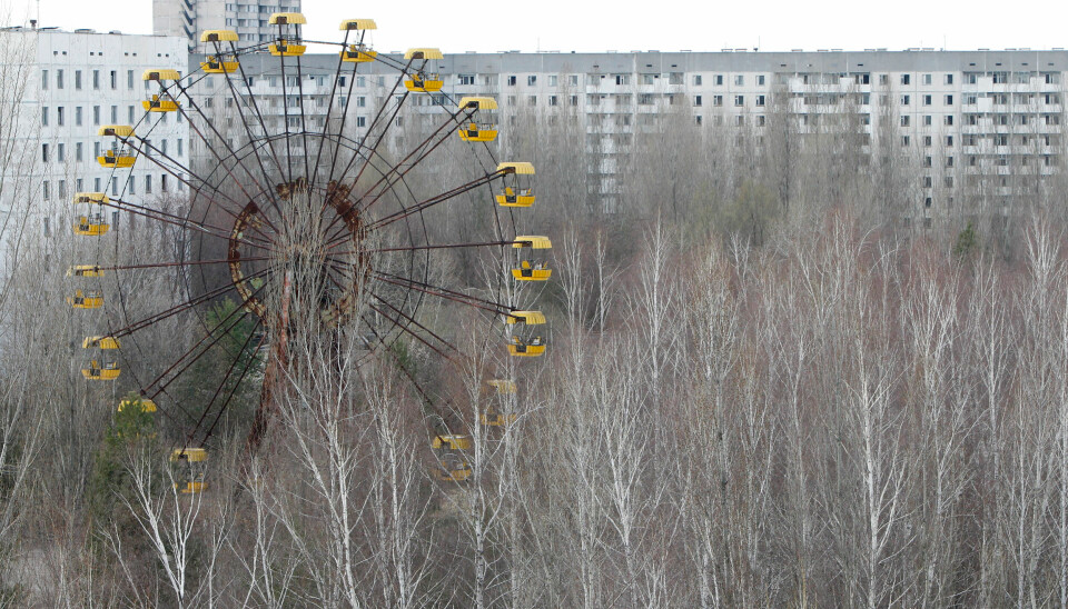 Bron afbeelding: https://www.abcnyheter.no/nyheter/mystisk-sopp-i-tsjernobyl-forvirrer-forskerne/1316582